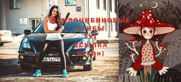 а пвп мука Надым