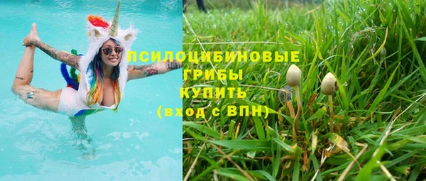 трава Кодинск