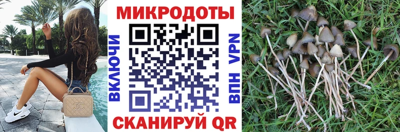 магазин  наркотиков  это клад  ОМГ ОМГ   Галлюциногенные грибы мицелий  Мышкин 